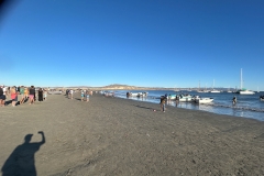 Aventura_haha_24_2024166